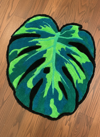Monstera leaf